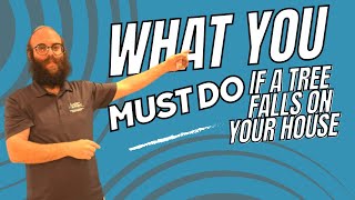 What You MUST Do If a Tree Falls on Your House!