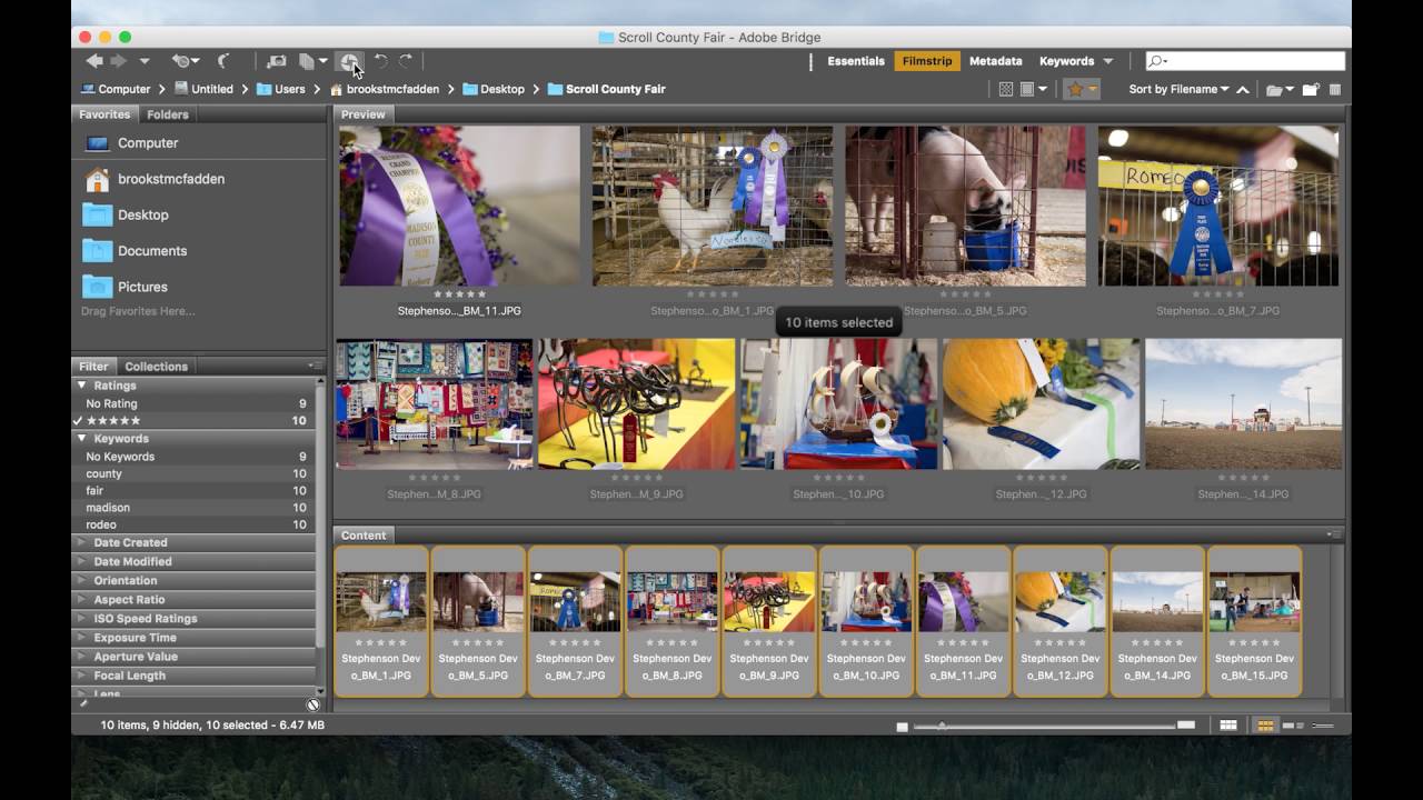 Adobe Bridge Tutorial – The Ultimate Guide to Adobe Bridge CC – NQQA