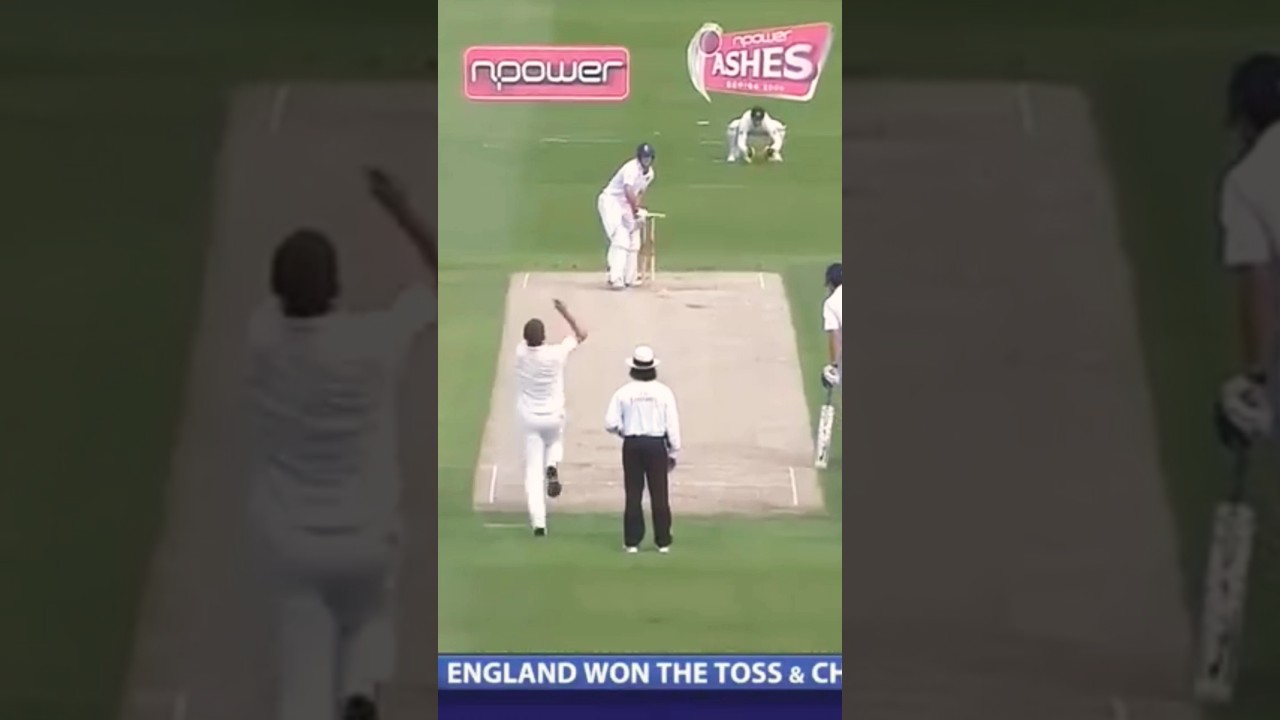 Peter Siddle to Andrew Strauss 🏏