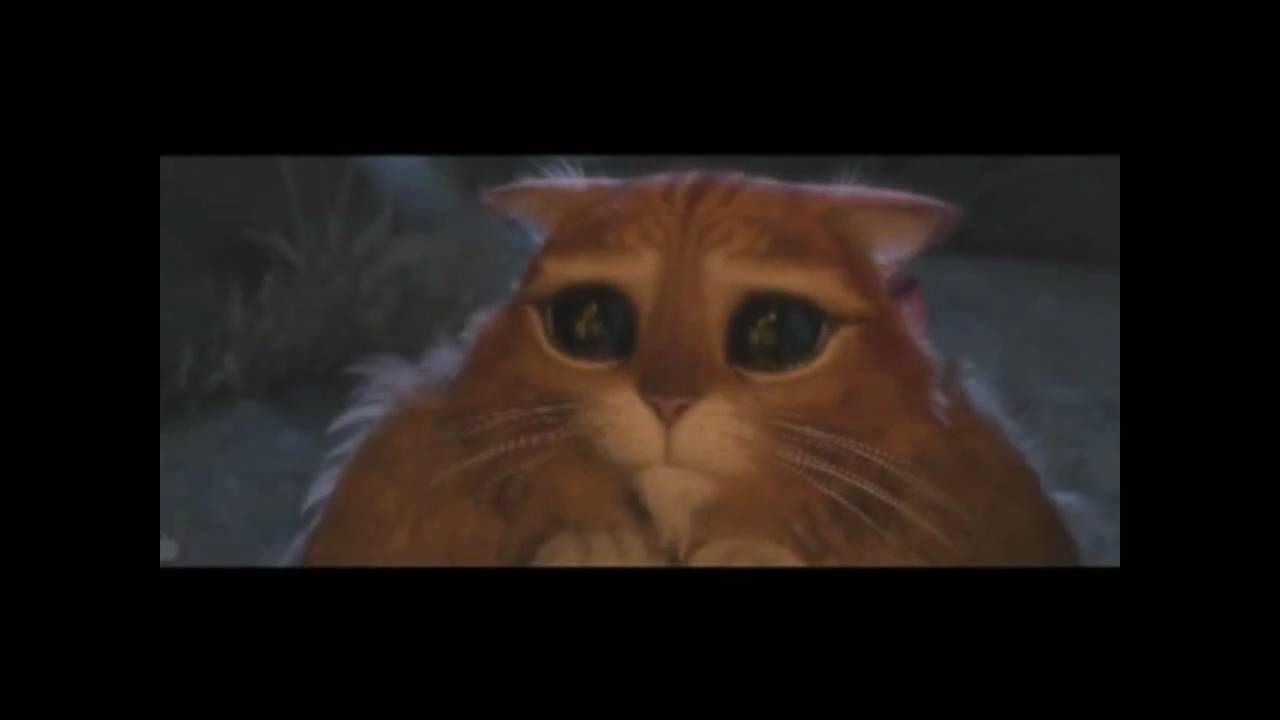 Puss In Boots Eyes Scene - YouTube