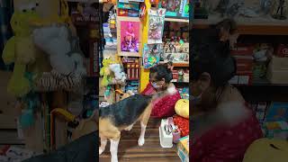 Download Lagu Palamudhir solai Unakkga than songs 💖❤️ MP3