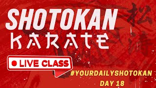 #YourDailyShotokan Day 18: Zanshin in start of all traditional Kata up to Nidan