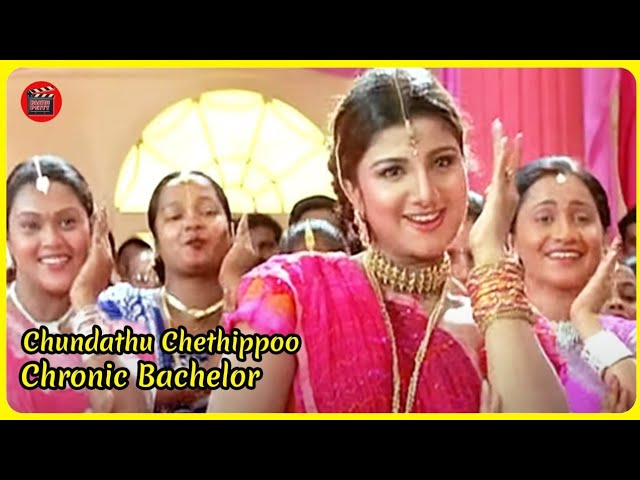 Chundathu Chethippoo | Chronic Bachelor | Mammootty | Rambha | Bhavana | MG Sreekumar | Chithra Iyer