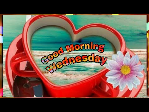 Happy Wednesday/Good Morning
