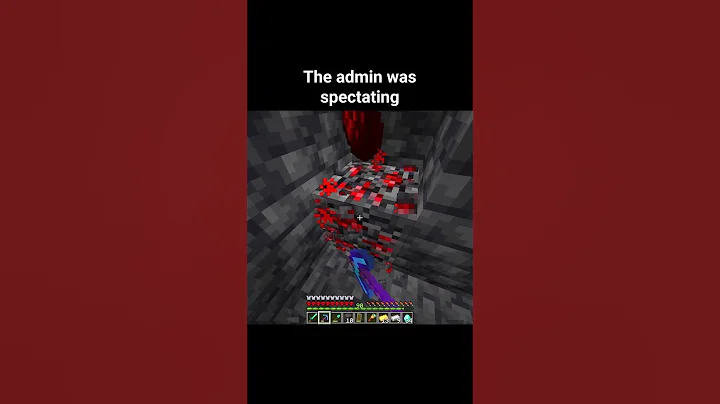 Minecraft Admin Xray Moment