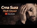 LUDAK - CRNA SUZA ( OFFICIAL VIDEO 2026 )