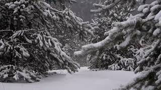 Merry Christmas From Se-Kure Controls