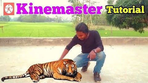 how to funny video background change in kinemaster bangla tutorial 2021