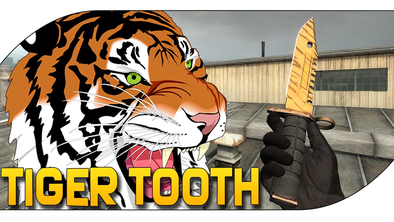 CS:GO - M9 | Tiger tooth factory new - Show case - YouTube