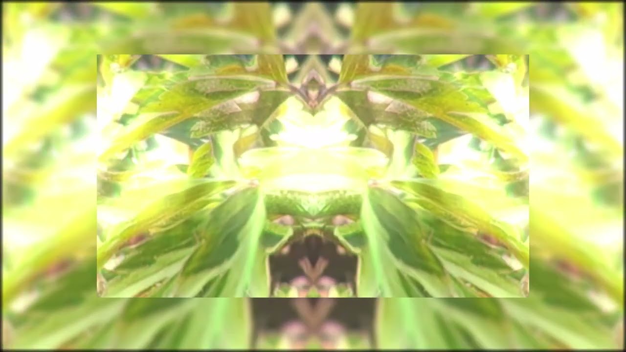Watch Froschwanderung on YouTube Watch Froschwanderung on YouTube