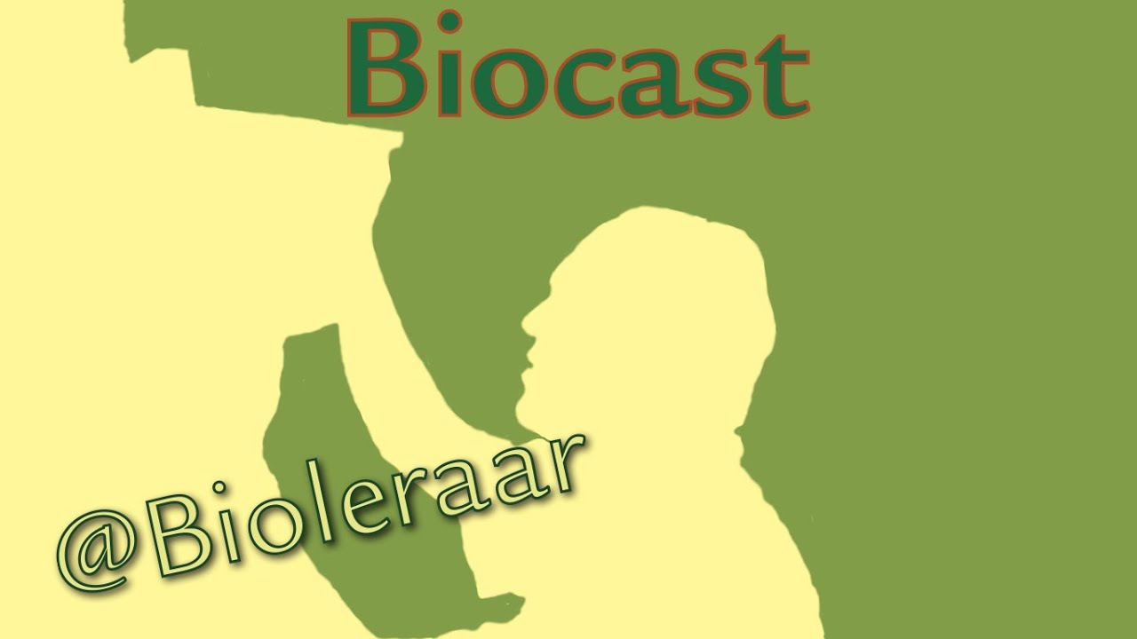 Voedselketen in twee stappen biocast - YouTube
