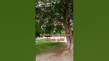 تلاوة خاشعة تريح القلب للقارئ بندر بليلة - #الحرم_المكي