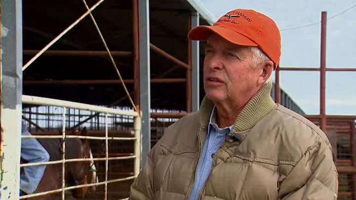 Oklahoma Quality Beef Network