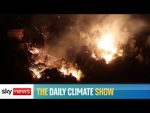 Firefighters battle blazes in Algeria and Greece