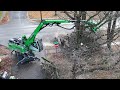 Giant tree eating machine removing large trees hadley michigan