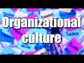 How To Define, Categorize, And Change Organizational Culture?