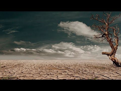 Video: ¿Cuál es la diferencia entre deforestación y desertificación?