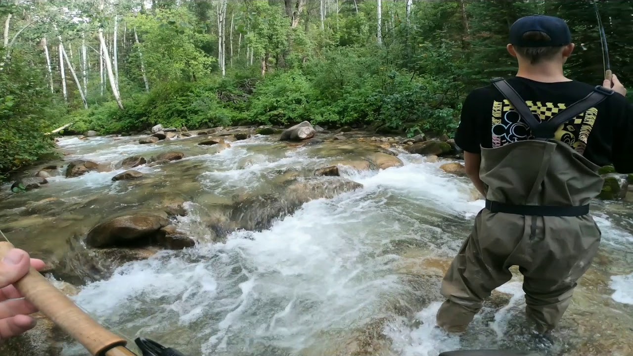 Fly fishing on a small creek YouTube