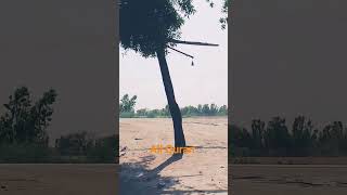 All Quran #viralvideo #shortvideo #byan #viralvideo