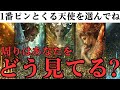 【あなたの隠された魅力】意外！周りが実は感じているあなたの印象とイメージ【当たるタロットカード占い】