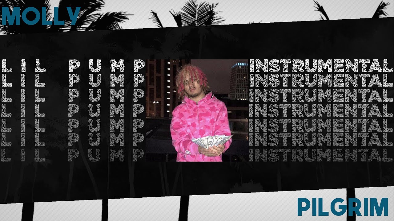 [FREE DOWNLOAD] Lil Pump Molly (Instrumental) Reprod. Pilgrim Beats