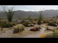 Desert Flash Flood (making of)