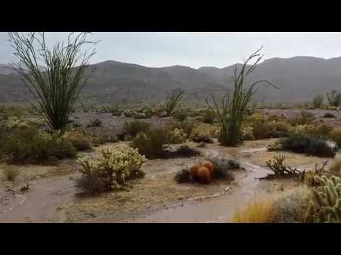 Desert Flash Flood (making of)