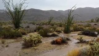 Progressive video of the events leading to a flash flood over desert
dry water fall. see it as arrives. ocotillo, california. if you liked
this v...