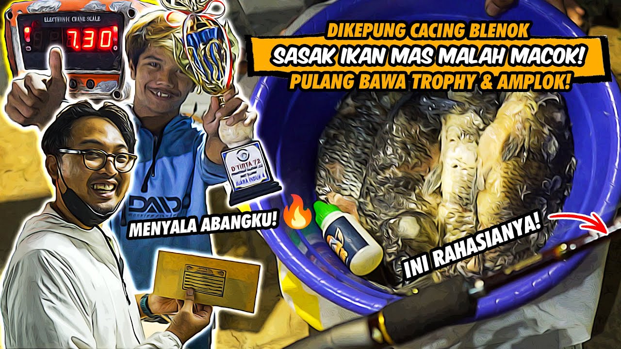 SASAK GACOR TUNJUKAN TARING! GAK GENTAR DIKEPUNG CACING! DAIDO INTENSE X SPECTRE MENDEWA DI LOMBA!