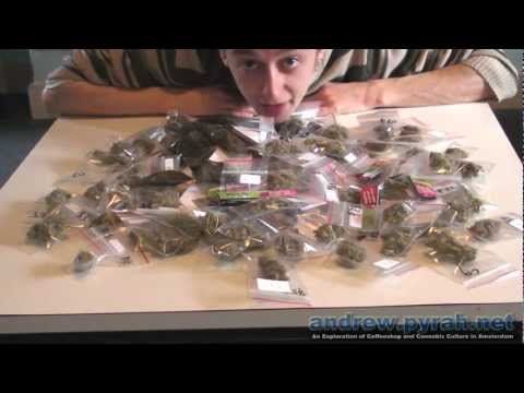 The Highlife (Cannabis) Cup 2012 - The Judges Pack Weed and Hash Entries Part 1