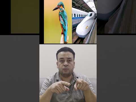 من منقار الطائر لقطار صامت وسريع