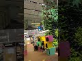 新加坡機場 #41 【 #泡泡popo543 】#shorts #singapore #fyp #travel #vlog