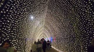 Lightscape, Brisbane - Entire installation