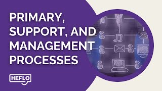 Understanding Primary, Support, and Management Processes in Business
