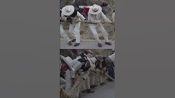 Revamping centuries-old rope bridge hanging on air