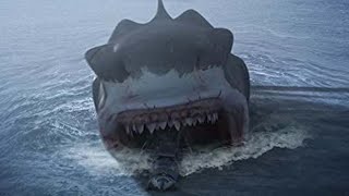 10 Megalodon Sightings That PROVE It Exists