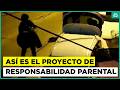 Todos los detalles del proyecto de Responsabilidad Parental
