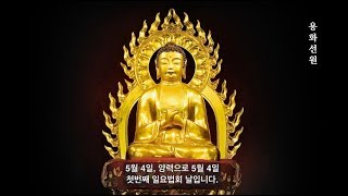 송담스님(No 122) 80년 5월 첫째일요법회