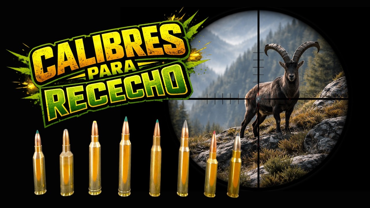 LOS CALIBRES MAS USADOS PARA RECECHO.