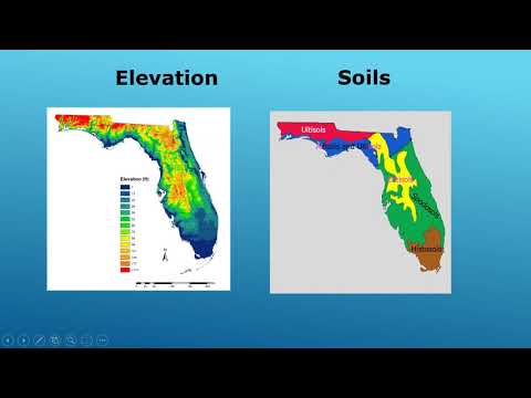 What Is The General Landscape Of Florida?