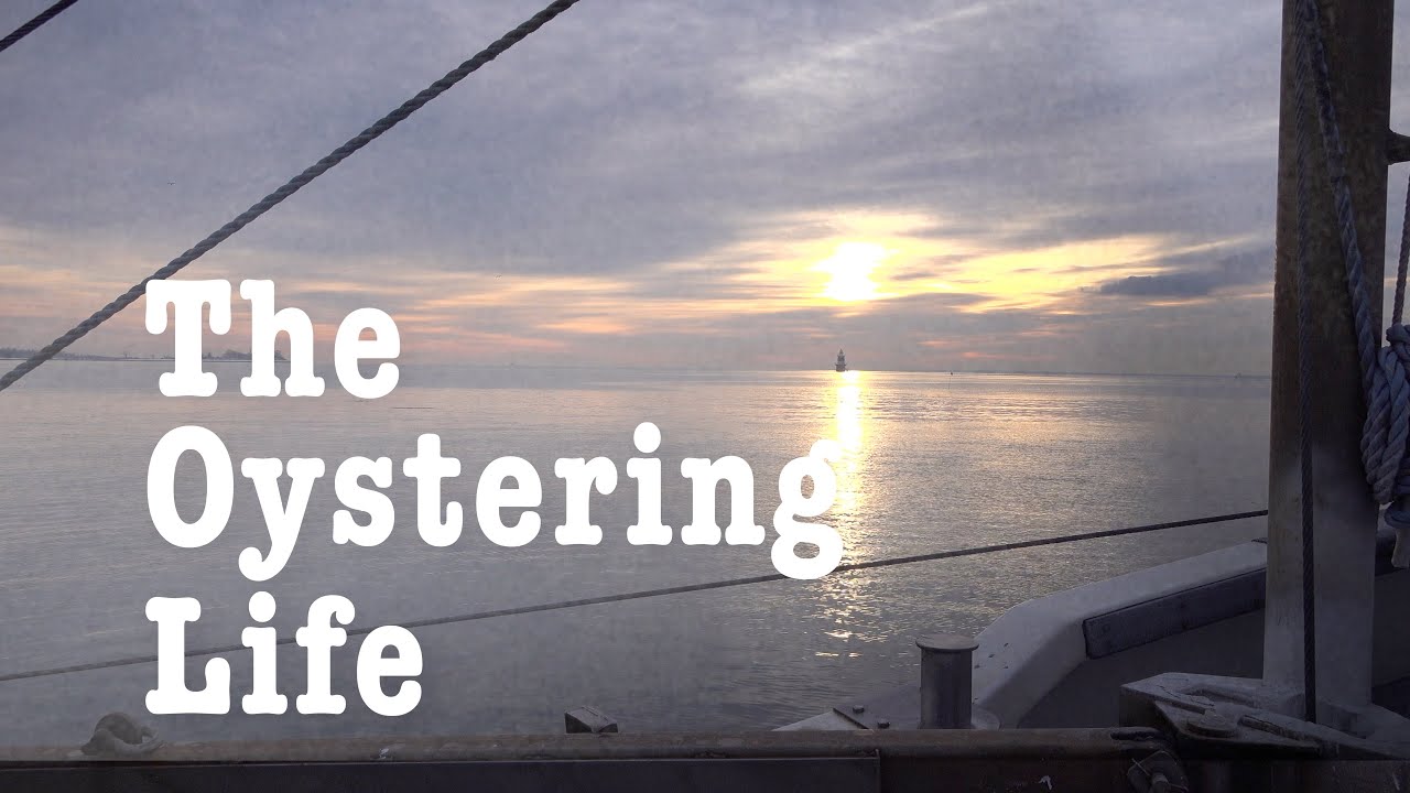 The Oystering Life