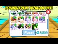 What happens when you Fuse EVERY DRAGON PET In PET SIMULATOR X?