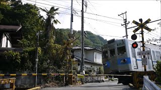 秩父鉄道踏切135