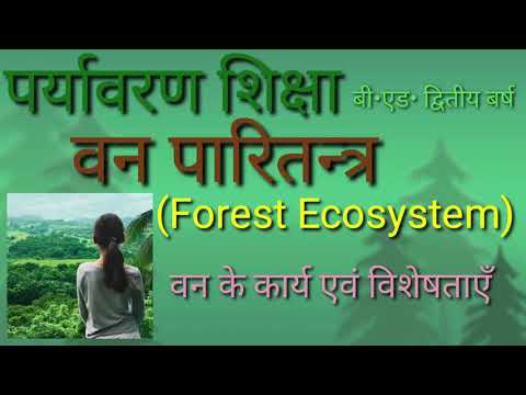 वन पारितन्त्र (Forest Ecosystem),वन के कार्य एवं विशेषताएँ