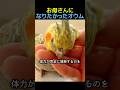 お母さんになりたかったオウム🦜