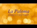 La Paloma (Julio Iglesias) - Karaoke cover Demo