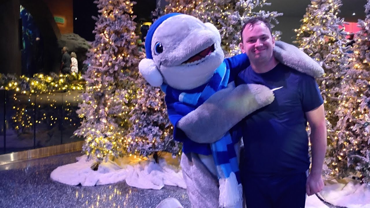 Georgia Aquarium | Full Walkthrough + Shows | November 2025