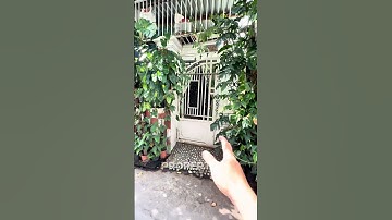 Bán nhà 133 m2 giá 3.3 tỷ. Ngang 12.5 m tại Phan Thiết. #propertys #batdongsan #bds #bdsphanthiet