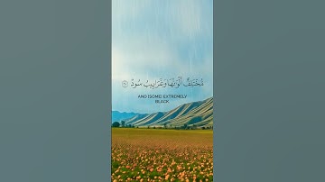 ما هي اسم السورة #قرآن #quran #الله #قران #رمضان #ramadan #اكسبلور #ترند #الوشق_المصري #رمضانمبارك