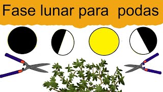 Fases lunares para podar // En que fase de la luna se puede podar ? -  YouTube